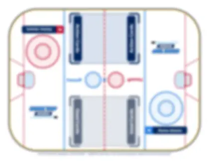 The rink